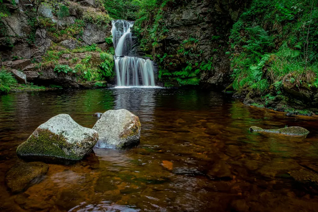 linn falls