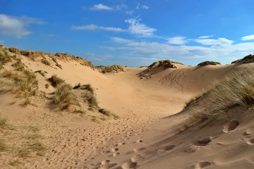 balmedie beach