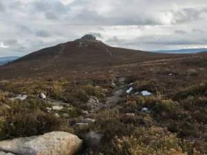 bennachie-1